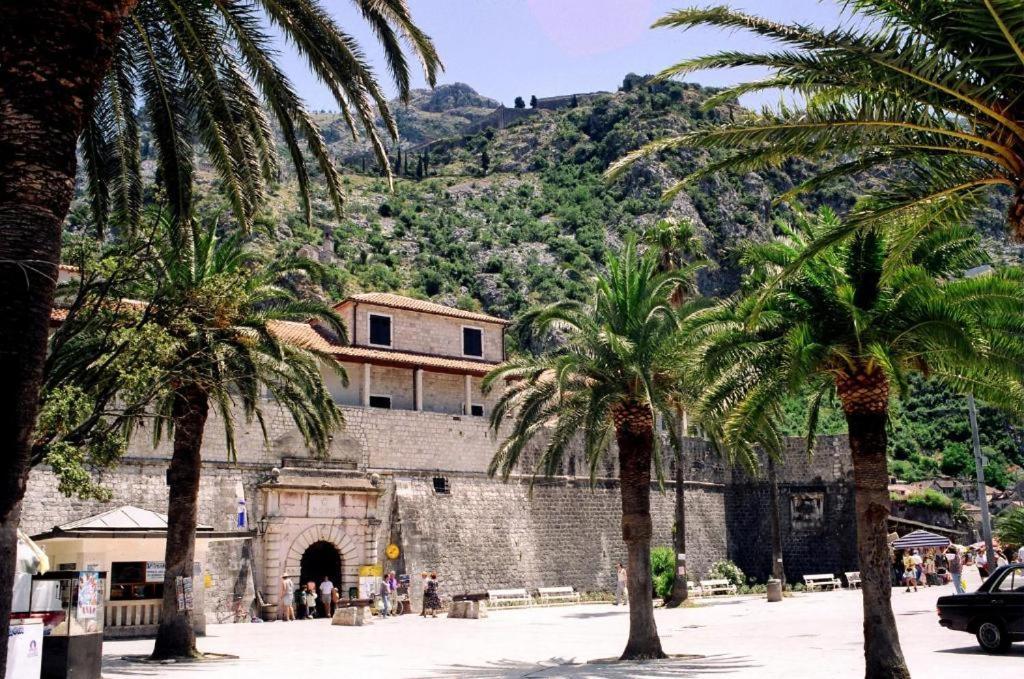 Old Town 466 Apartments Kotor Bagian luar foto